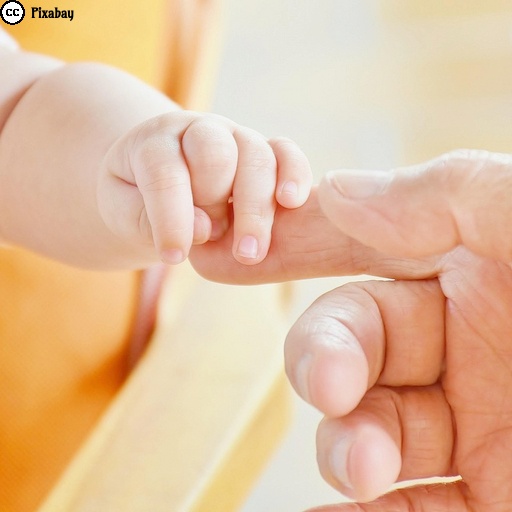 Die Hand eines Babys hält die Hand einer älteren Person. Foto von RitaE auf Pixabay.